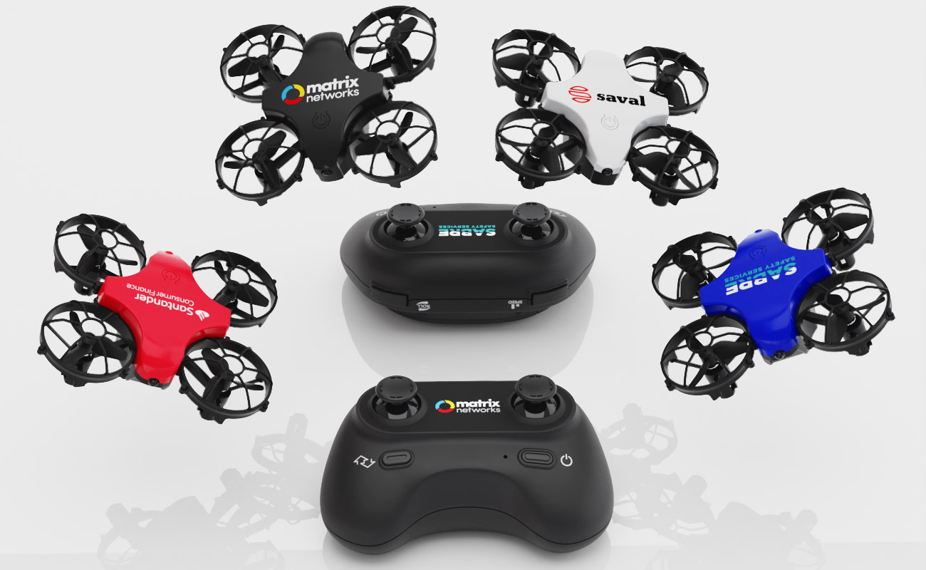 Bee Minidrone