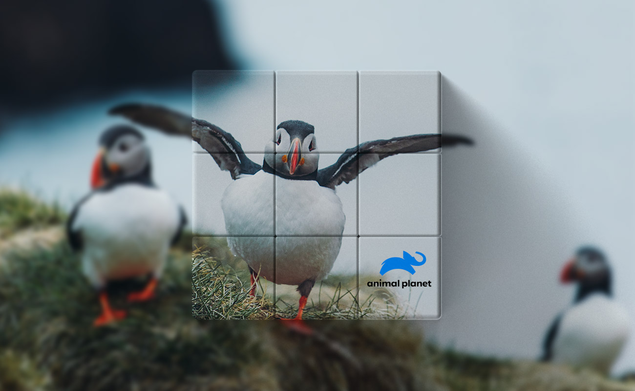 Blox - Magiske kuber med logo gallery thumbnail