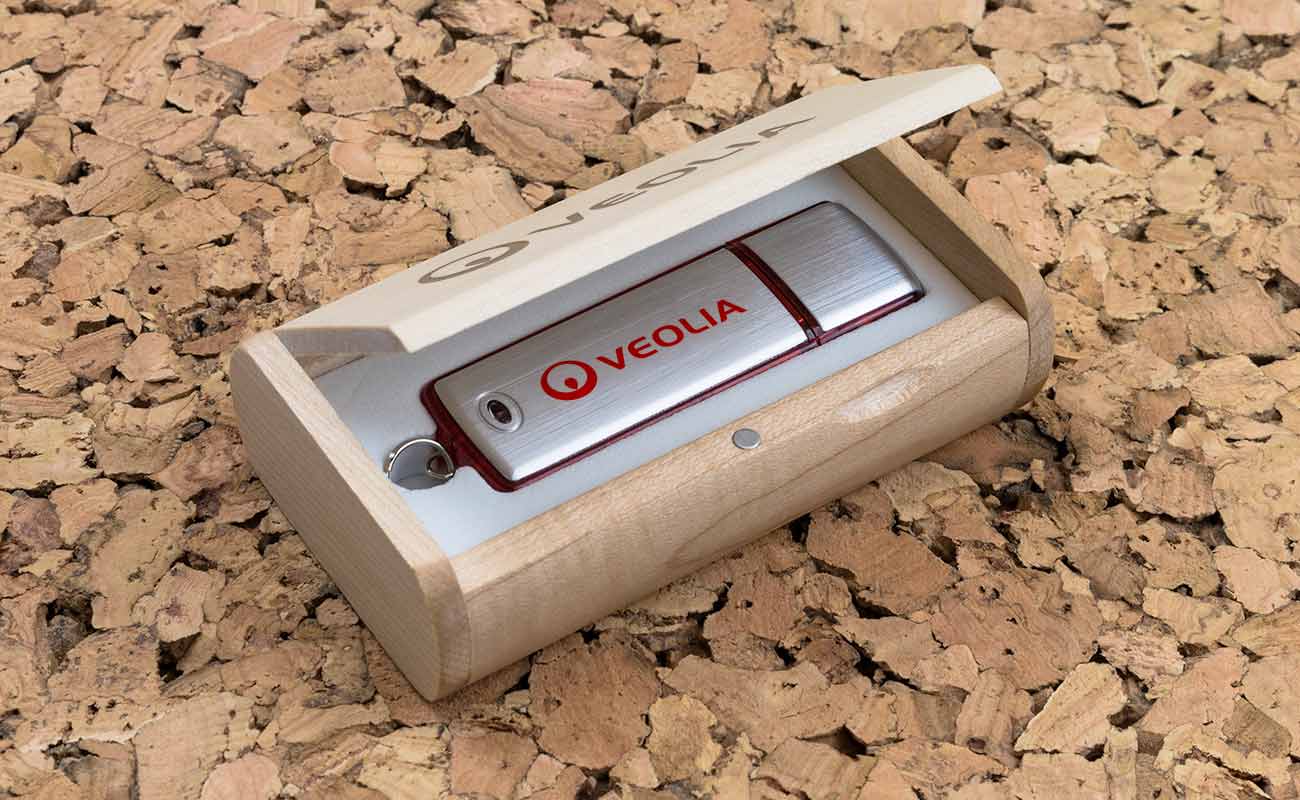 Classic - USB Minnepenn Med Logo gallery thumbnail