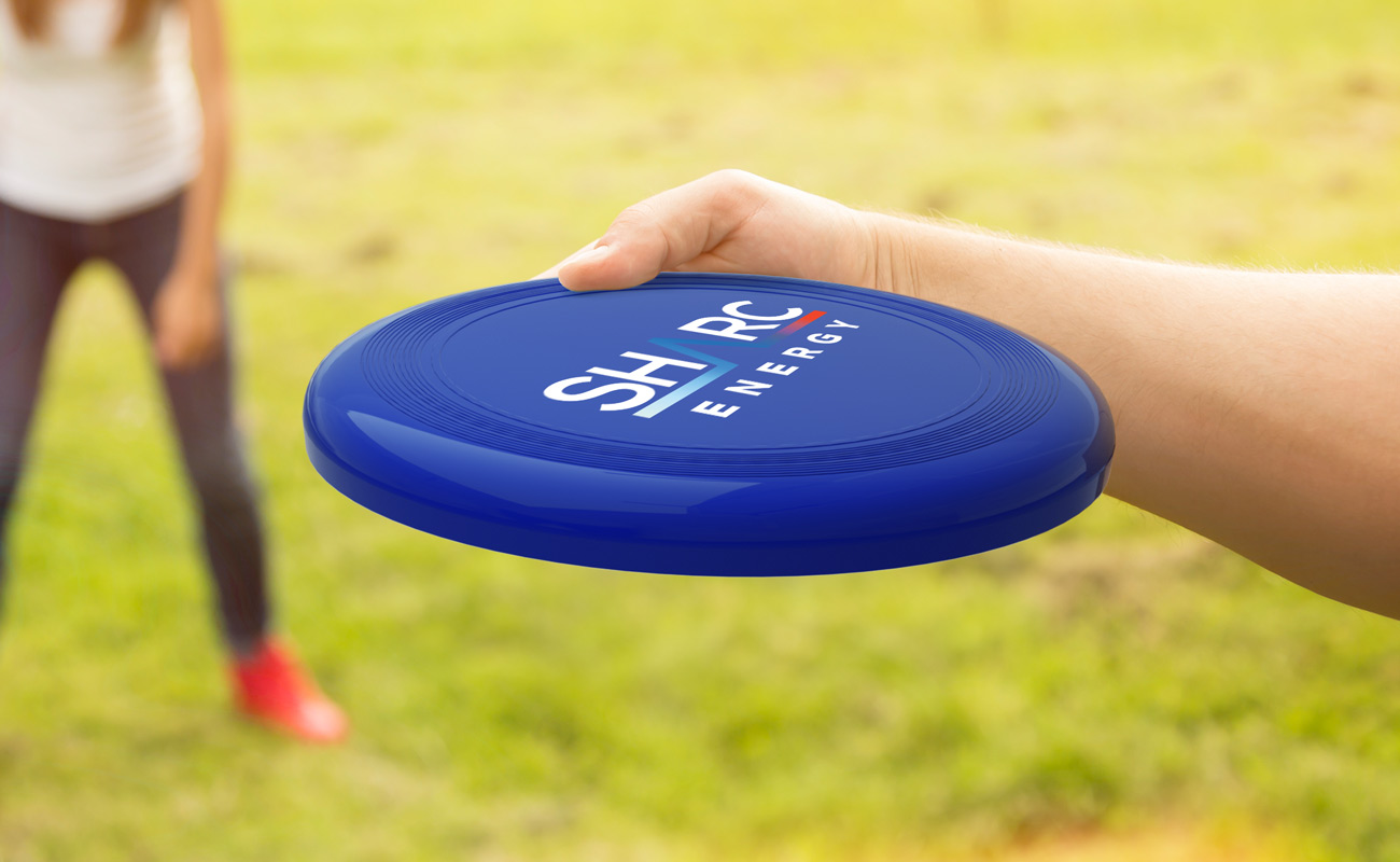 Eagle - Tilpassede salgsfremmende flygende skiver gallery thumbnail