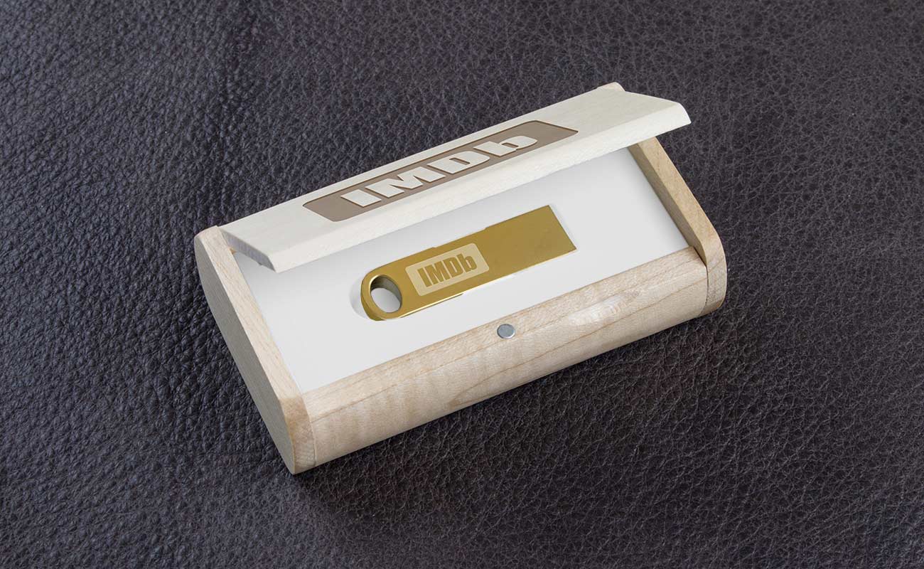 Focus - USB Minnepenn Med Logo gallery thumbnail