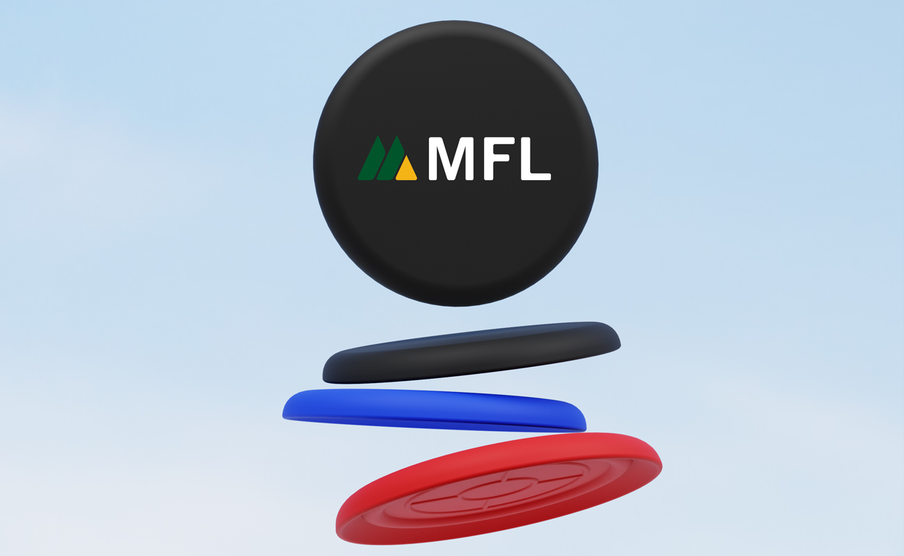 Hawk - Personlige flygende skiver gallery thumbnail