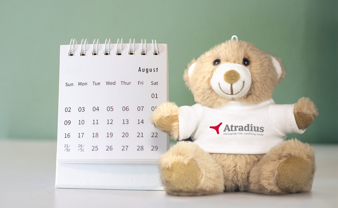 Paws - Salgsfremmende Teddybjørner gallery thumbnail