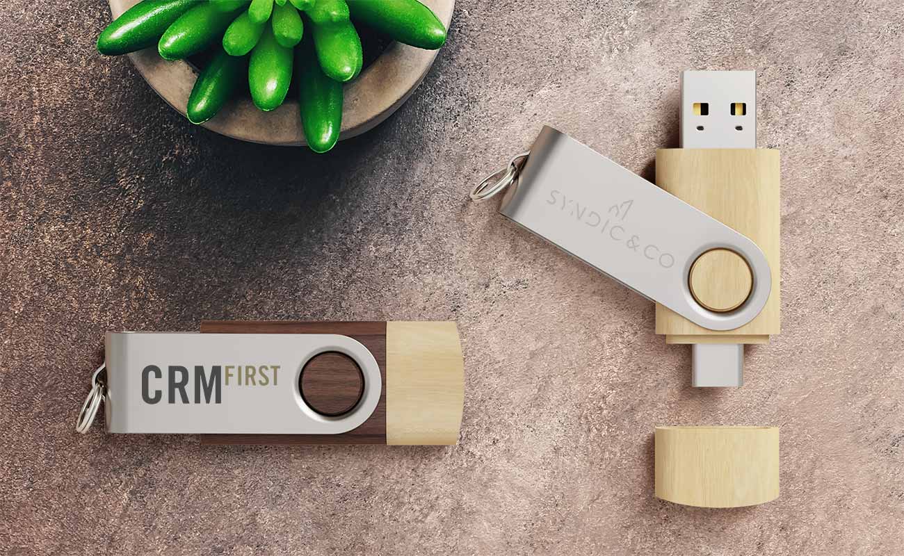 Twister Go Wood - Minnepinne med USB-C med Logo gallery thumbnail